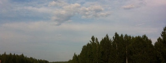 Sassi airstrip is one of Finnish Airfields.