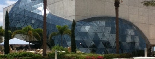 The Dali Museum is one of Art Venues.