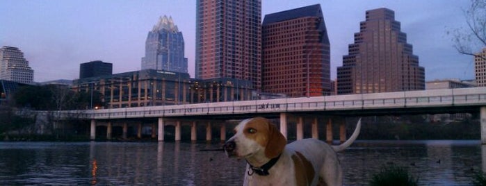 Auditorium Shores Dog Park is one of Austin Things To-Do & See.