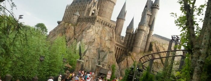 The Wizarding World of Harry Potter - Hogsmeade is one of orlando, FL.