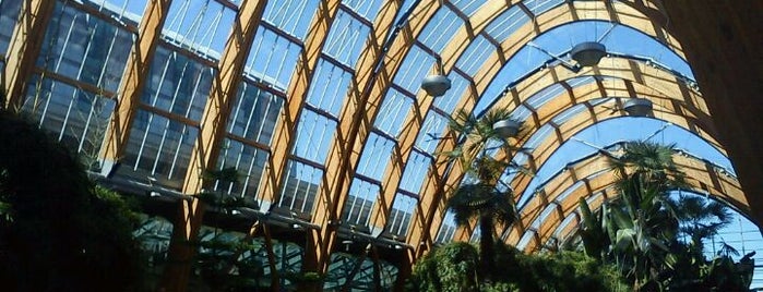 Winter Gardens is one of Lieux qui ont plu à O.
