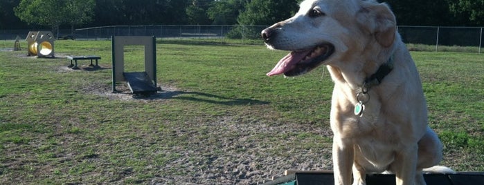 17th Street Paw Park is one of Posti che sono piaciuti a Joseph.