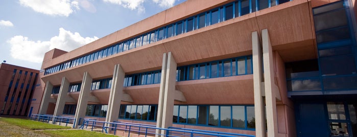 Università degli Studi di Udine; Facoltà scientifiche is one of luoghi comuni.