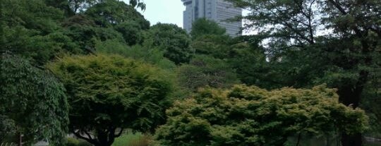 Koishikawa Kōrakuen Gardens is one of 東京穴場観光.