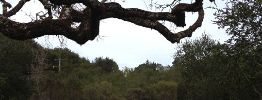 Windy Hill Open Space Preserve is one of Craigさんの保存済みスポット.