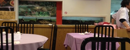 Happy Jade Seafood Chinese Restaurant is one of Tempat yang Disukai Dan.