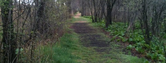 Bog Meadow Brook Nature Trail is one of Tempat yang Disukai eric.