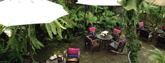 Fern Forest Café is one of Chiang Mai To Do.