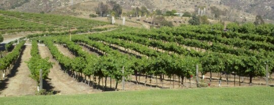 Orfila Vineyards and Winery is one of San Diego.