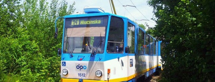 Nová huť jížní brána (tram,bus) is one of MHD Ostrava 1/2.