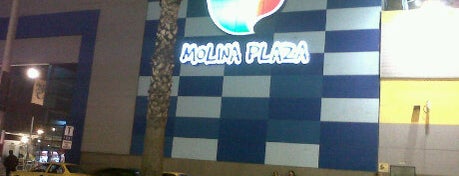 C.C. Molina Plaza is one of La Molinense.