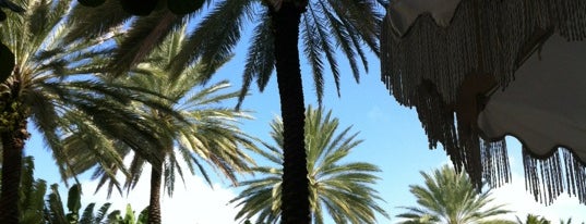 The Raleigh Hotel is one of Sleep Heavy in the Humidity, Miami.