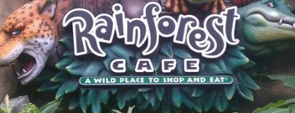 Rainforest Café is one of Disney World/Islands of Adventure.