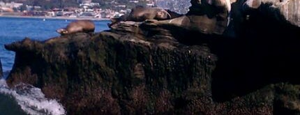 La Jolla Cove is one of International Hot Points.