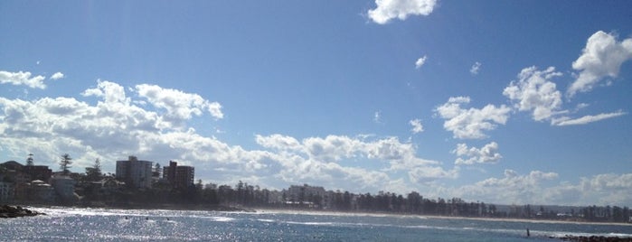 Shelly Beach is one of Stevenson's Favorite World Beaches.