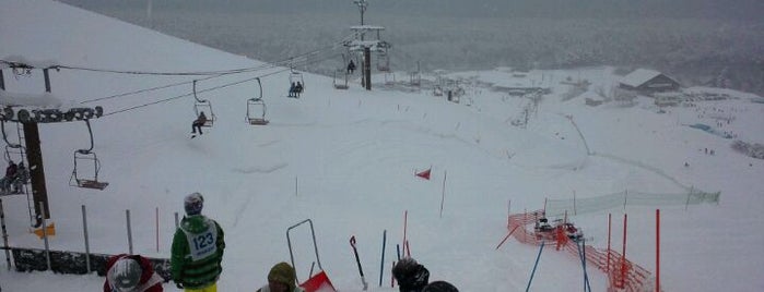 野辺地まかど温泉スキー場 is one of 東北のスキー場.