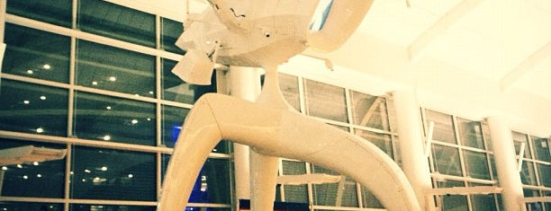 Norman Y. Mineta San Jose International Airport (SJC) is one of I Love Airports!.