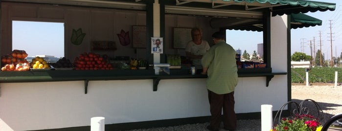 Manassero Farms Fruit & Veggie Stand is one of Posti che sono piaciuti a Bashayer.