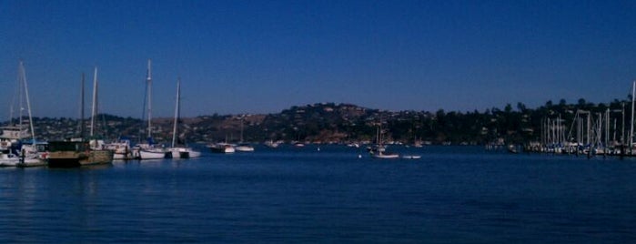 Paradise Bay Restaurant is one of Top 10 dinner spots in Sausalito, CA.