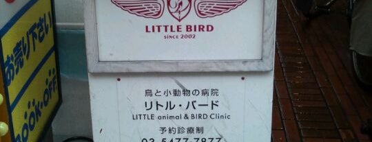 鳥と小動物の病院 リトル・バード is one of 小鳥を診てくれる病院.