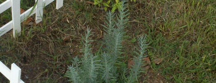 Leaning Oak Estate is one of Matt : понравившиеся места.