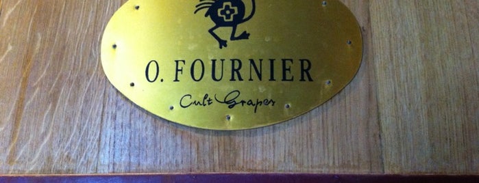 O. Fournier is one of Mendoza: Bodegas y Viñedos.