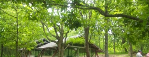 くぬぎの森キャンプ場 is one of 青少年活動関係施設 in 山口.