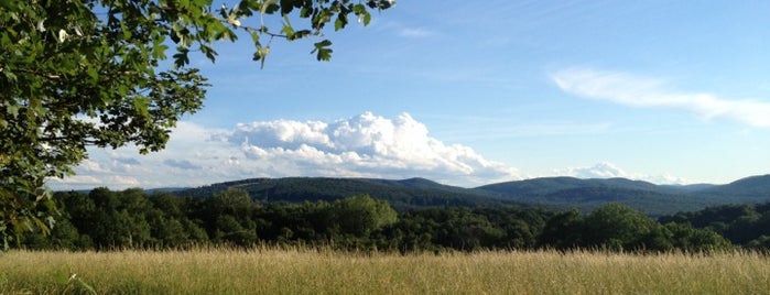 Steinhofgründe is one of Lieux qui ont plu à Maik.