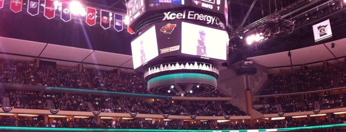 Xcel Energy Center is one of NHL arenas.