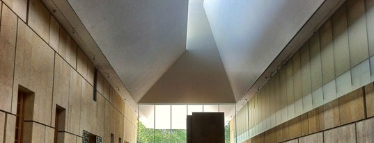 The Barnes Foundation is one of Philadelphia.