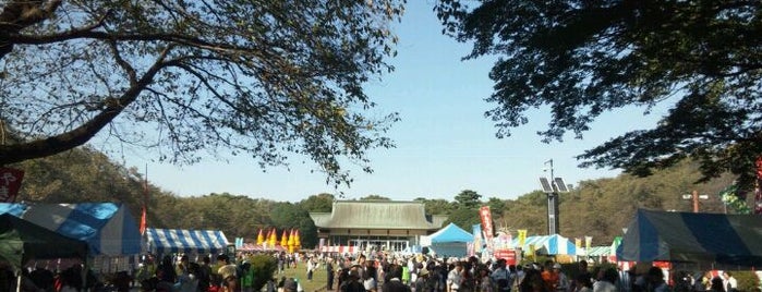 Koganei Park is one of 東京の公園50.