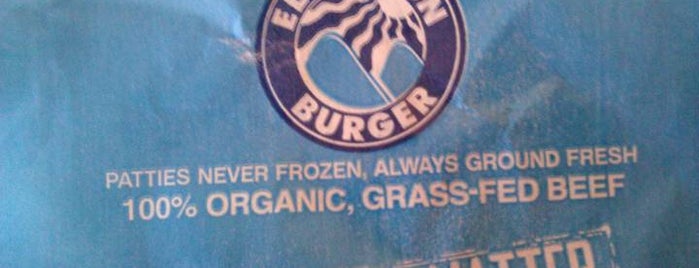 Elevation Burger is one of Vegan Choices.