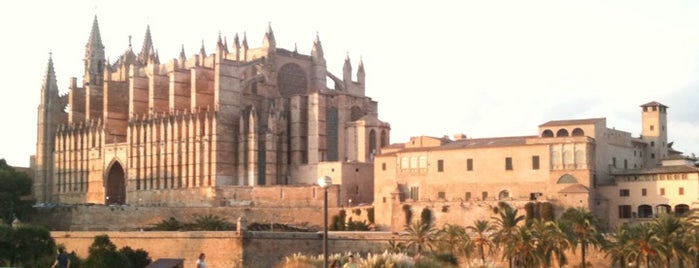 Palma is one of Oh, the places you'll go!.