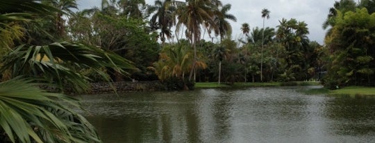 Fairchild Tropical Botanic Garden is one of Garden Getaways.