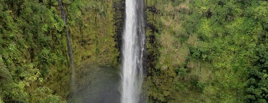Akaka Falls State Park is one of Big Island, Hawaii.