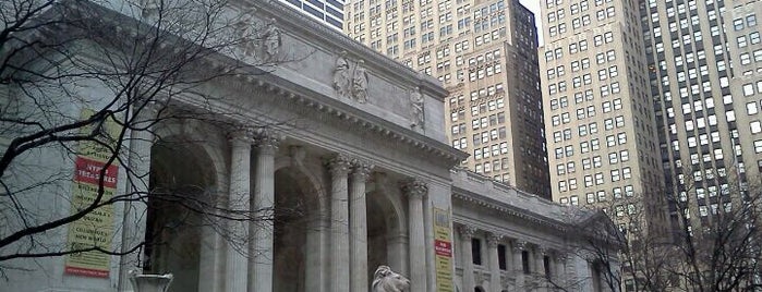 New York Public Library - Stephen A. Schwarzman Building is one of New York to do list.