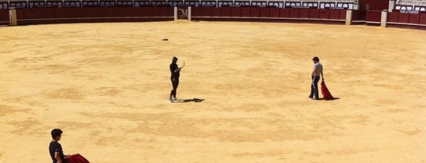 Plaza de Toros 'La Malagueta' is one of 101 cosas que ver en Málaga antes de morir.