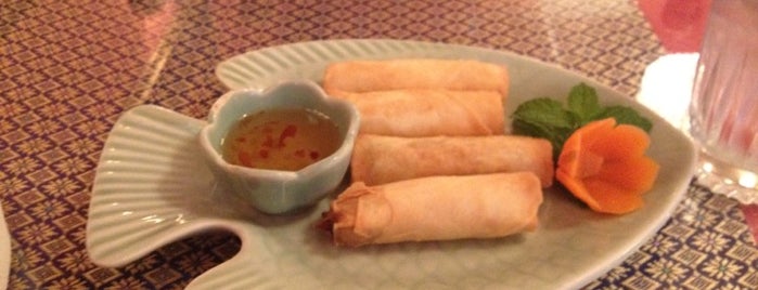 Thai Taste is one of The 7 Best Places for Papaya in Indianapolis.