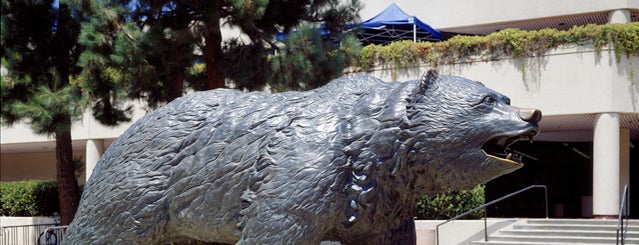 UCLA Bruin Statue is one of Explore the Campus.
