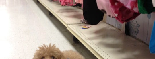 PetSmart is one of Erika’s Liked Places.