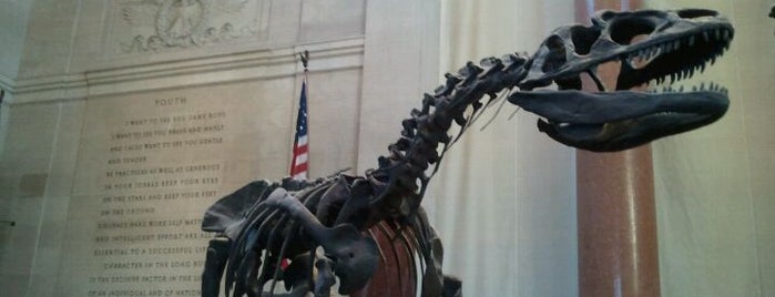 Amerikan Doğa Tarihi Müzesi is one of NYC Favorites.