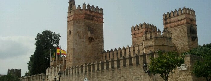 Castillo de San Marcos is one of zityboy: сохраненные места.
