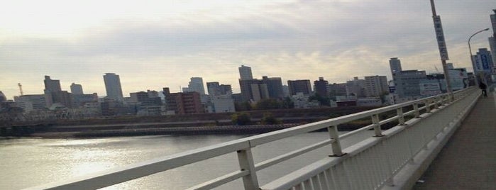 Shin-Yodogawa Ohashi Bridge is one of いろんな橋梁.