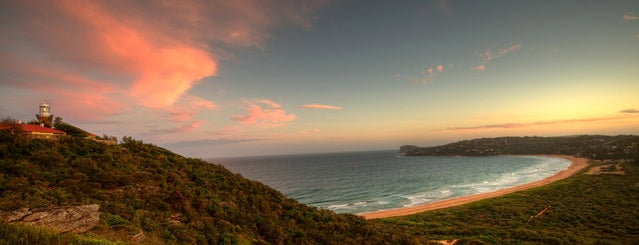 The Best Sydney Beaches