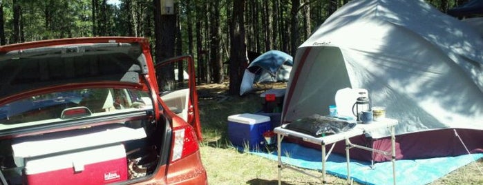 Four Corners Folk Festival is one of Things to Do in Pagosa Springs.