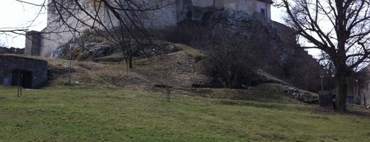 Trenčiansky hrad is one of Lieux qui ont plu à Ondra.