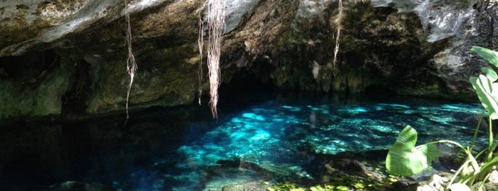 Gran Cenote is one of Riviera Maya trip.