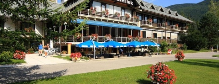 Hotel Lek is one of Beer places in Slovenia.