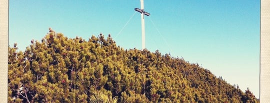 Herzogstand (1731 m) is one of Lieux qui ont plu à Catalina.