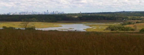 Sneak Peak at Freshkills Park is one of All-time faves with mii @AryatiNP.